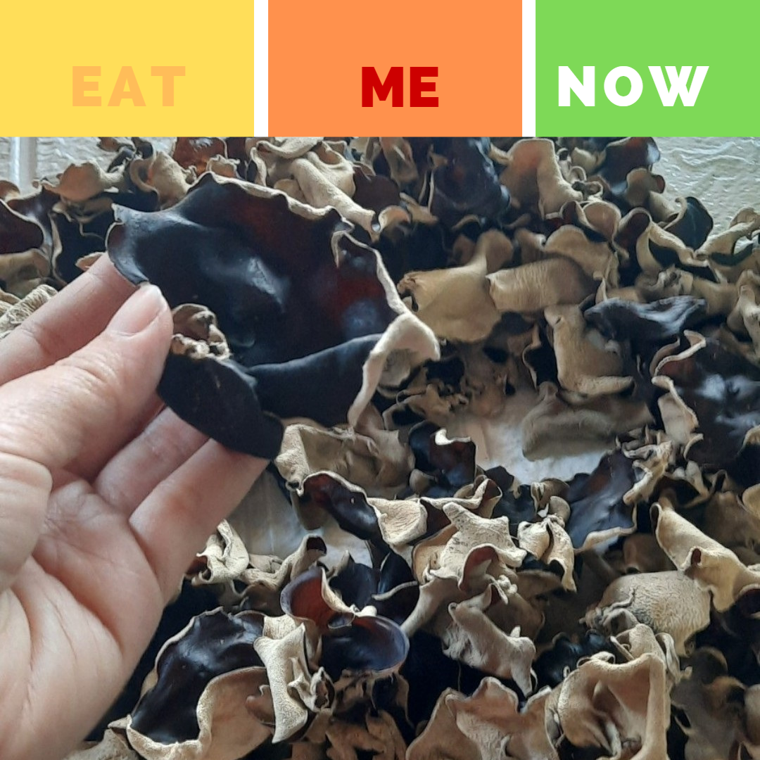 wood ear mushroom
