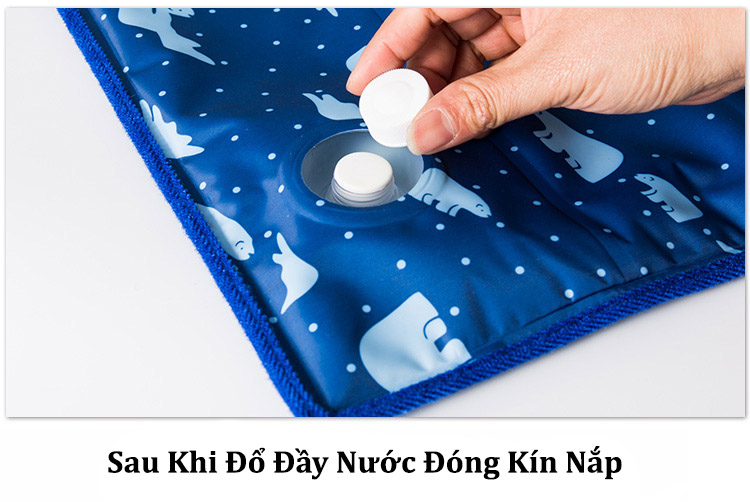 Gối Nước ❄️FreeShip❄️ Gối Nước mát cao cấp 1 Chiếc (size S:24x32cm - L:30x40cm - X:30x47cm) ( khách mua về dồn nước )