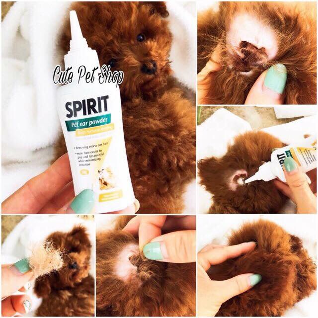 Combo kẹp nhổ lông tai + bột nhổ lông tai✨