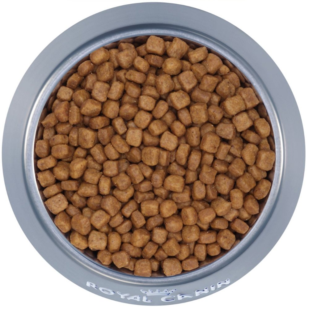 Dry cat food for kitten - ROYAL CANIN Persian Kitten - 2Kg