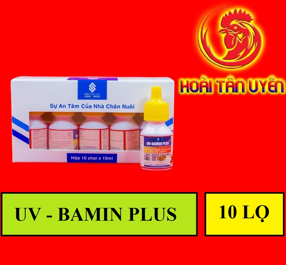 UV - BAMIN PLUS TĂNG NỘI LỰC - TĂNG CƠ - TĂNG NƯỚC MÁU 1 HỘP 10 LỌ