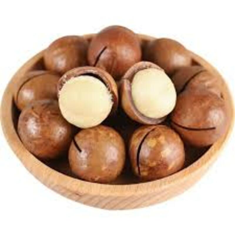 CÂY GIỐNG HẠT MACCA