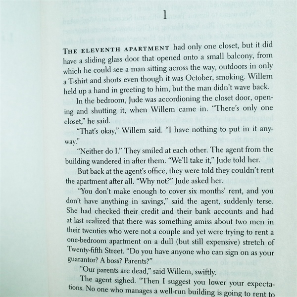 A Little Life [US]- Hanya Yanagihara - Moonbird