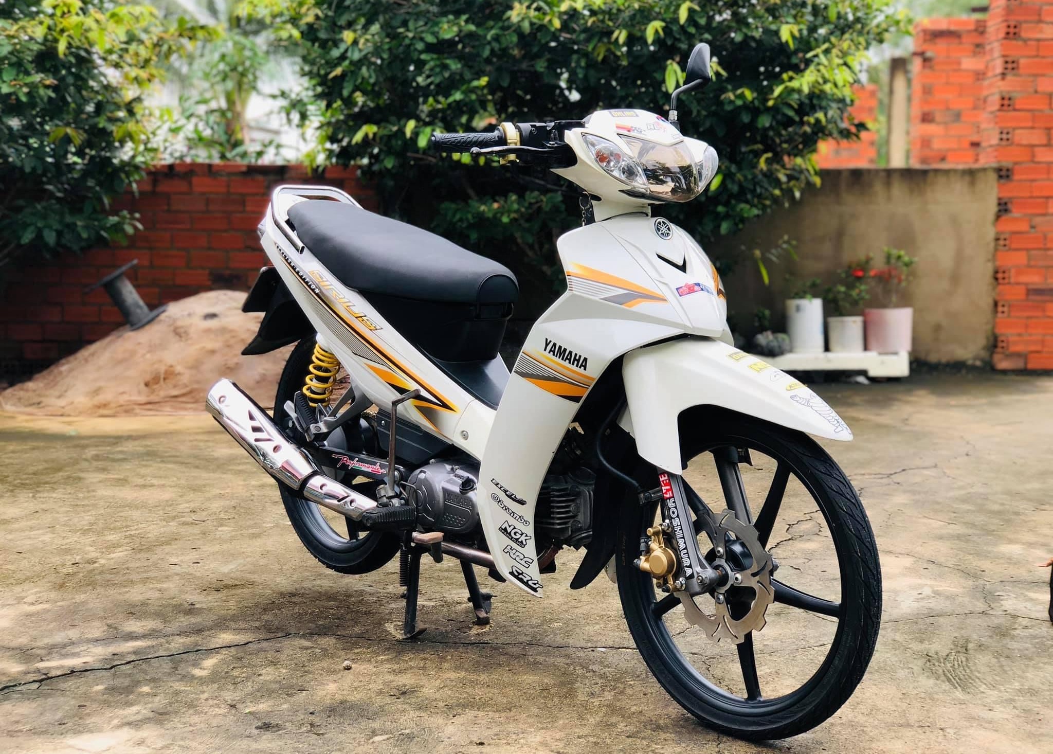 Tem rời sirius trắng cam