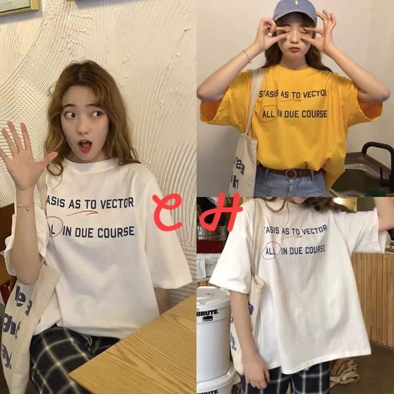 Áo nữ All in CH1908