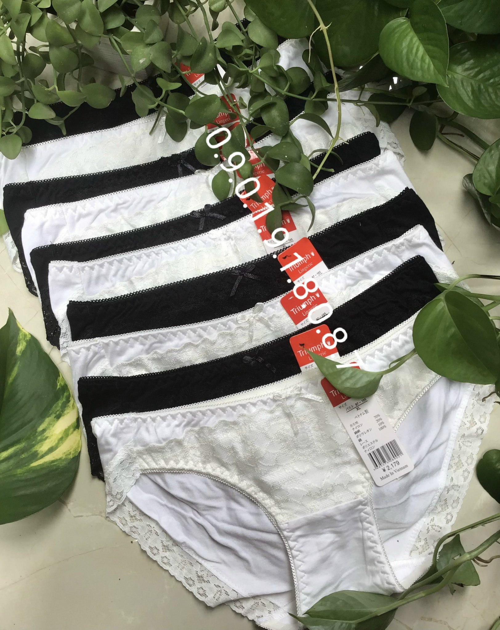 COMBO 10 QUẦN SỊP NỮ COTTON PHỐI REN CAO CẤP QUYẾN RŨ MÃ VN115