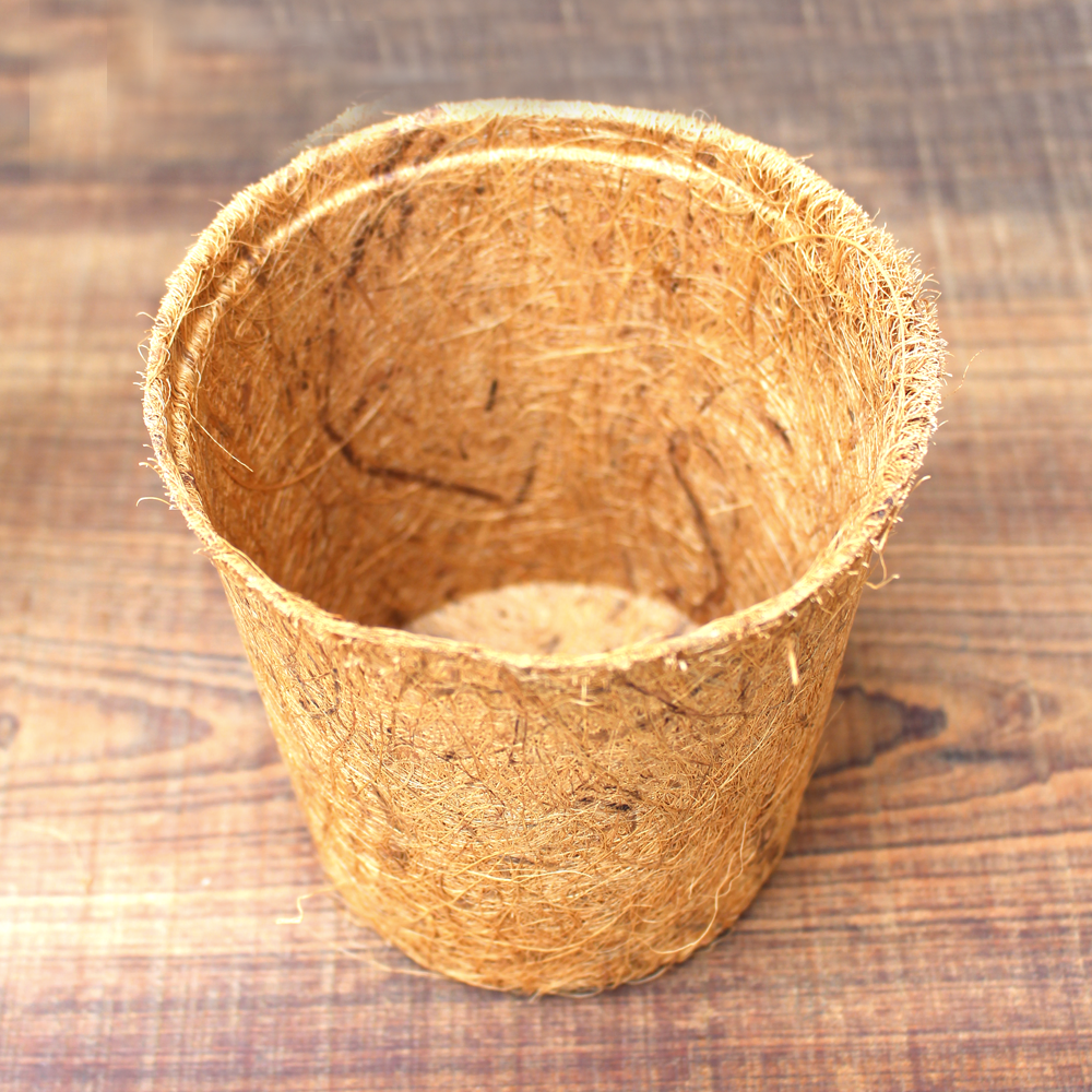 Chậu Xơ Dừa tự nhiên 12x11.3cm