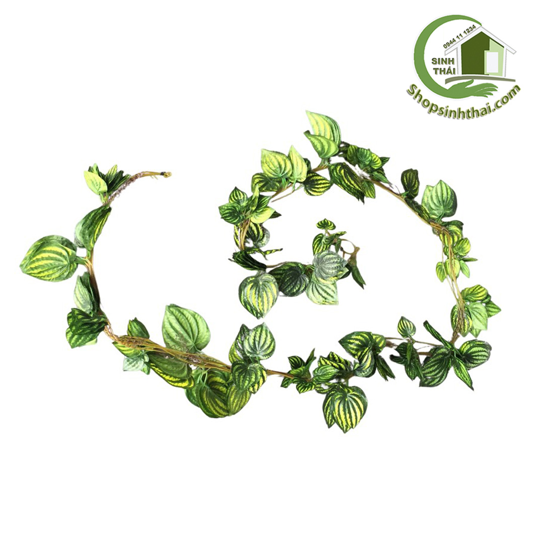 [HCM]Dây lá trầu bà sọc xanh vàng dài 240cm dây leo xanh bằng vải lụa cao cấp