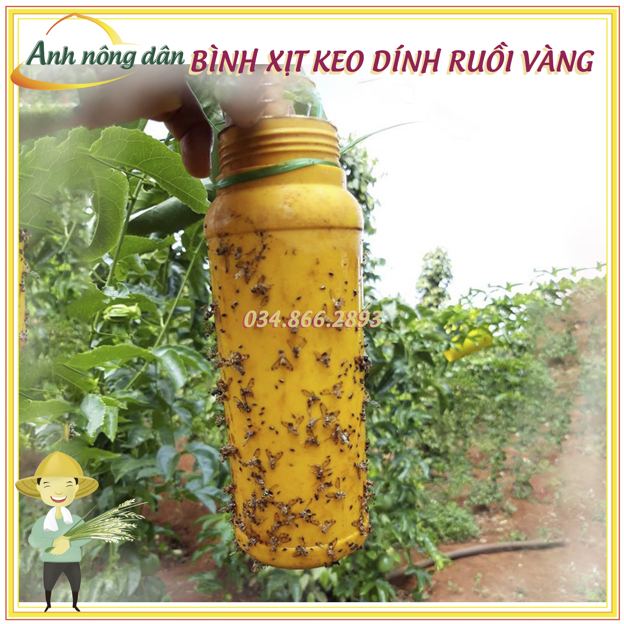 Bình keo xịt bẫy dính ruồi vàng, côn trùng