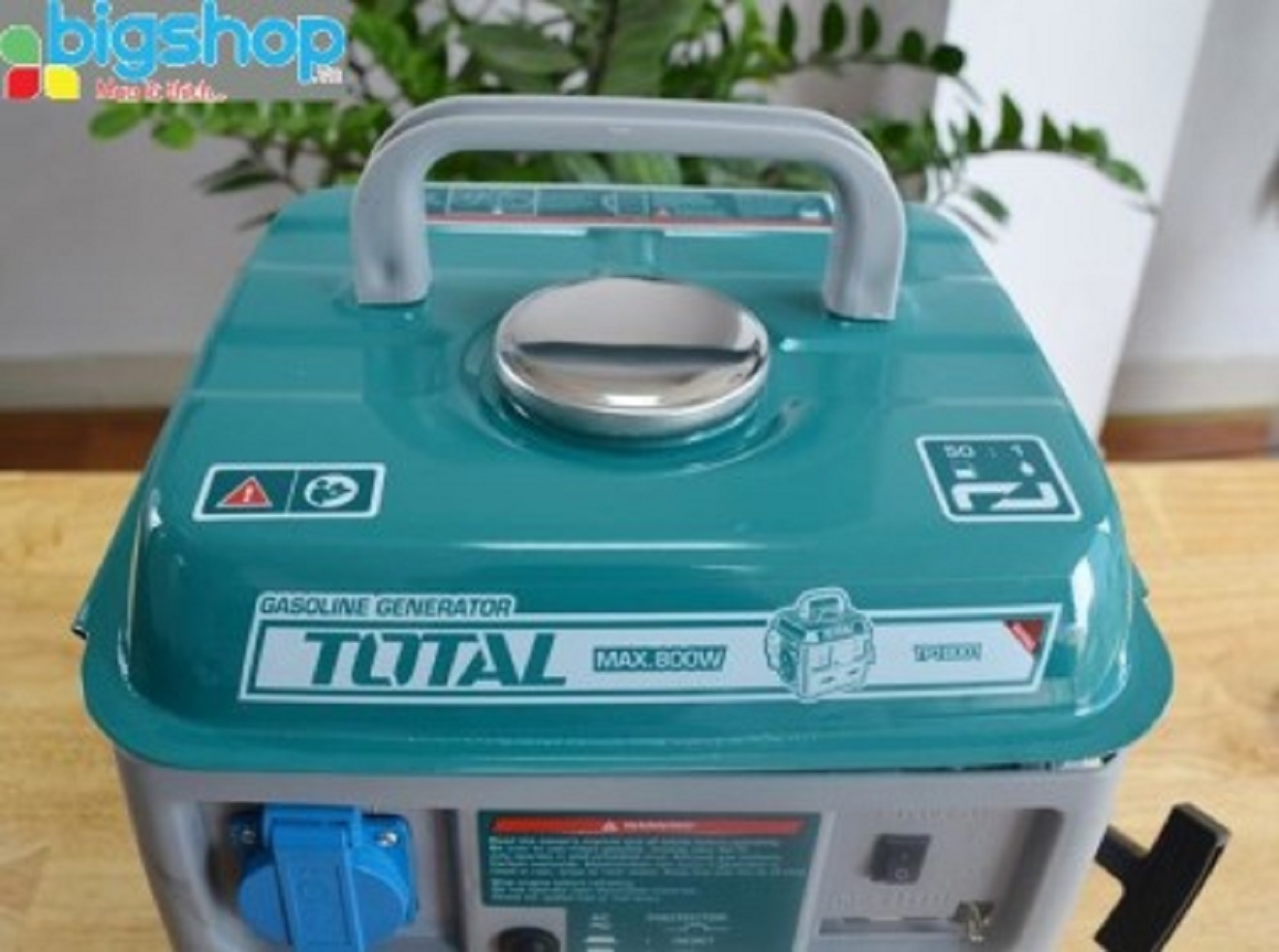 Máy phát điện động cơ xăng Total TP18001 (800W)