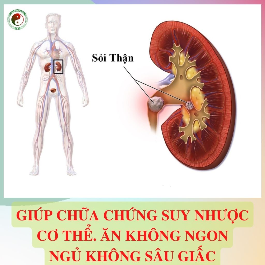 ✅[CHÍNH HÃNG] Cây Cỏ Mực Nhọ Nồi Khô Sạch 1kg