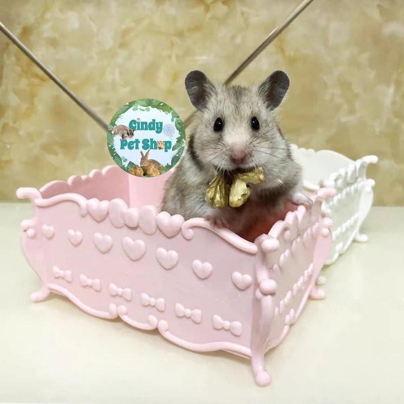 Giường Ngủ/Nhà Tắm Big Size Cho Hamster