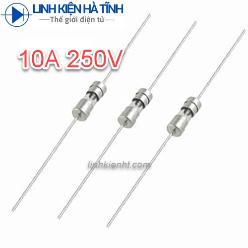 20 con cầu chì thủy tinh 10a 250v 3.6x10mm