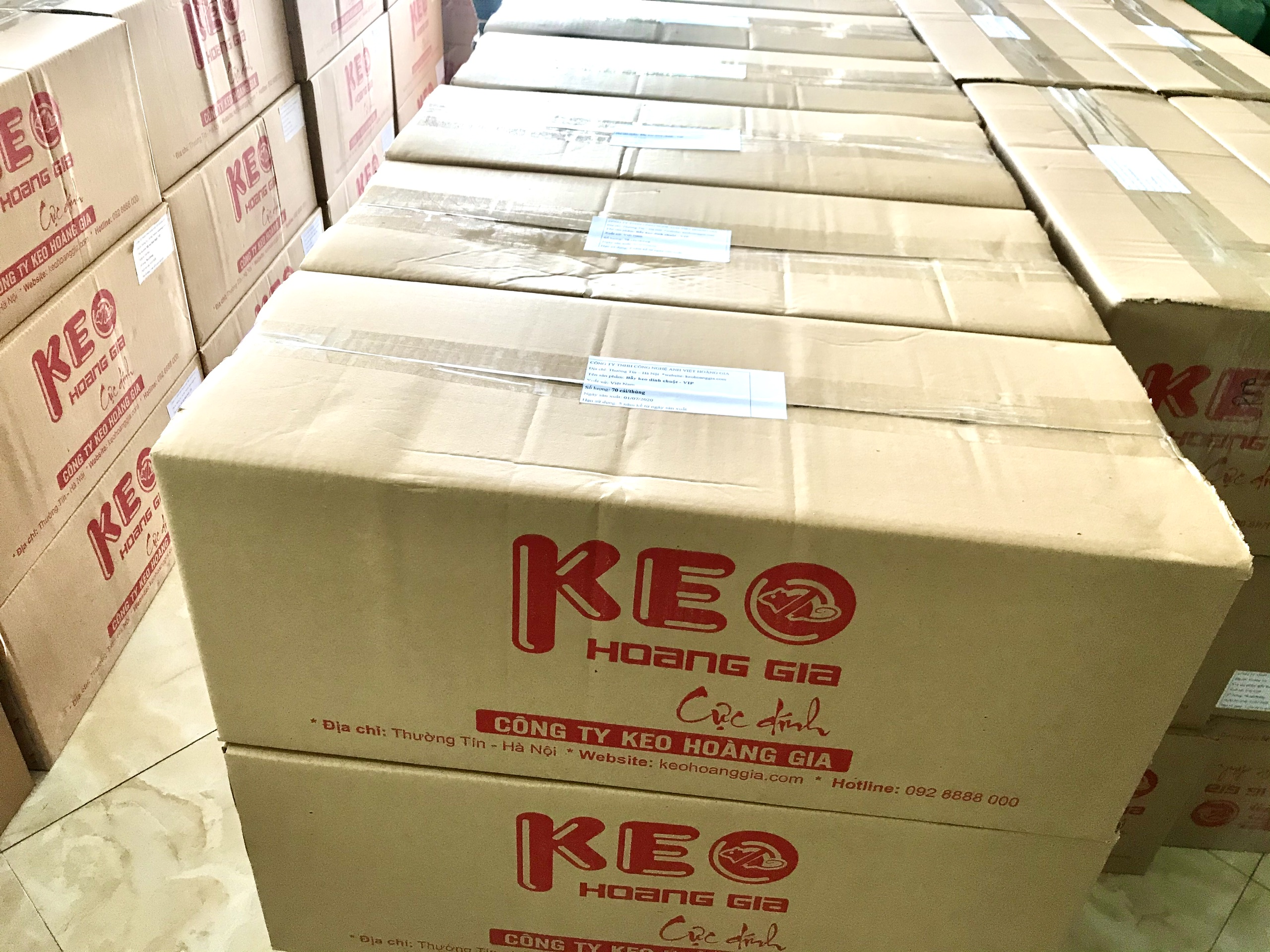 Combo 50 Bẫy Keo dính chuột