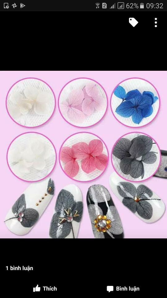 Hoa khô đắp bột,đắp gel ẩn Nail