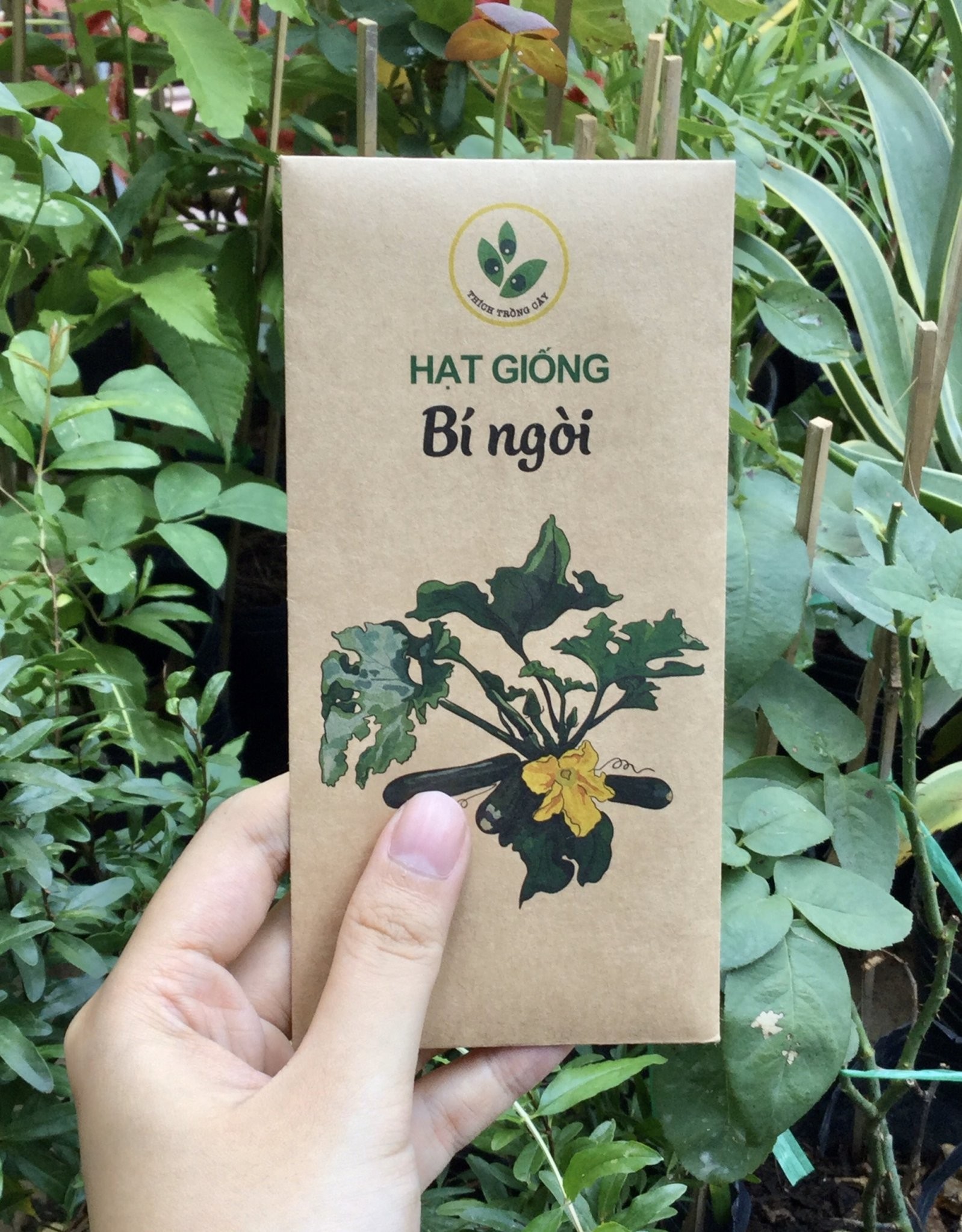 [HCM]Hạt giống Bí ngòi xanh (10 hạt/bịch)