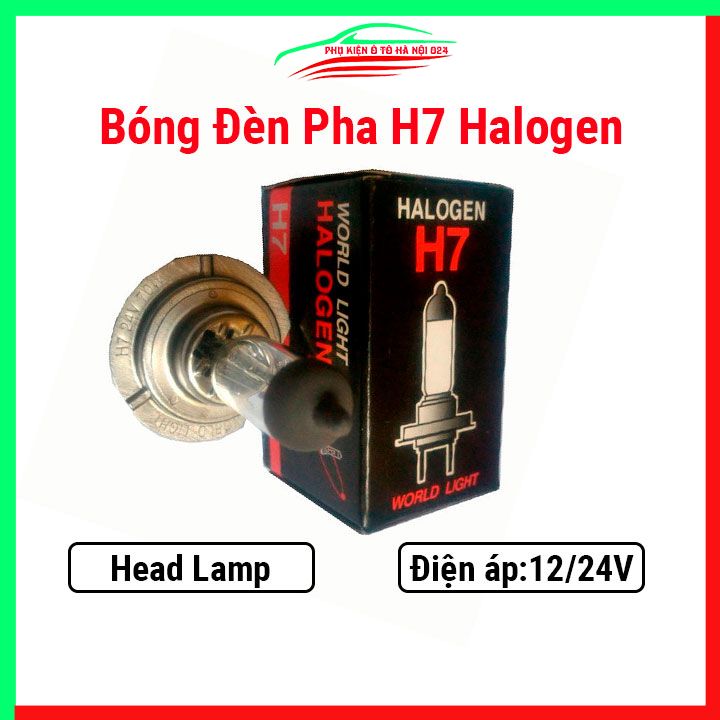 Bóng đèn pha H7 halogen Head Lamp lắp đèn ô tô, chịu nhiệt tốt 12V-55W / 24V-70W