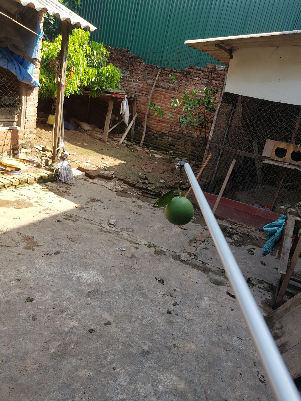 Kéo cắt cành trên cao