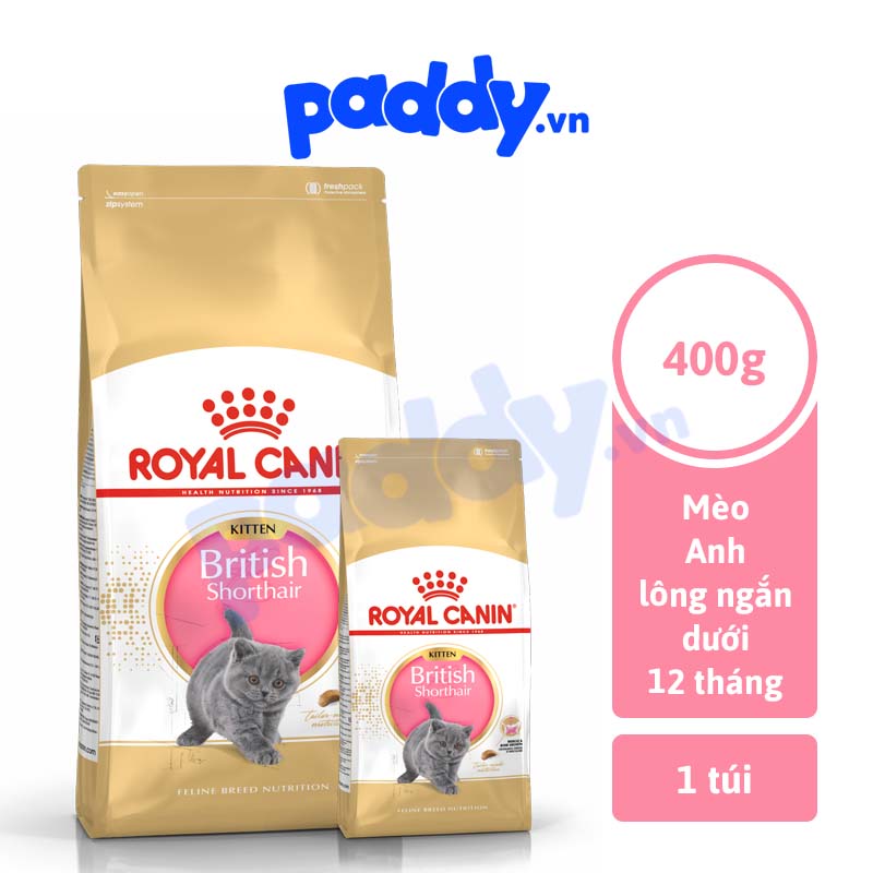 [400g] Hạt Cho Mèo Con Anh Lông Ngắn Thành Royal Canin British Shorthair Kitten