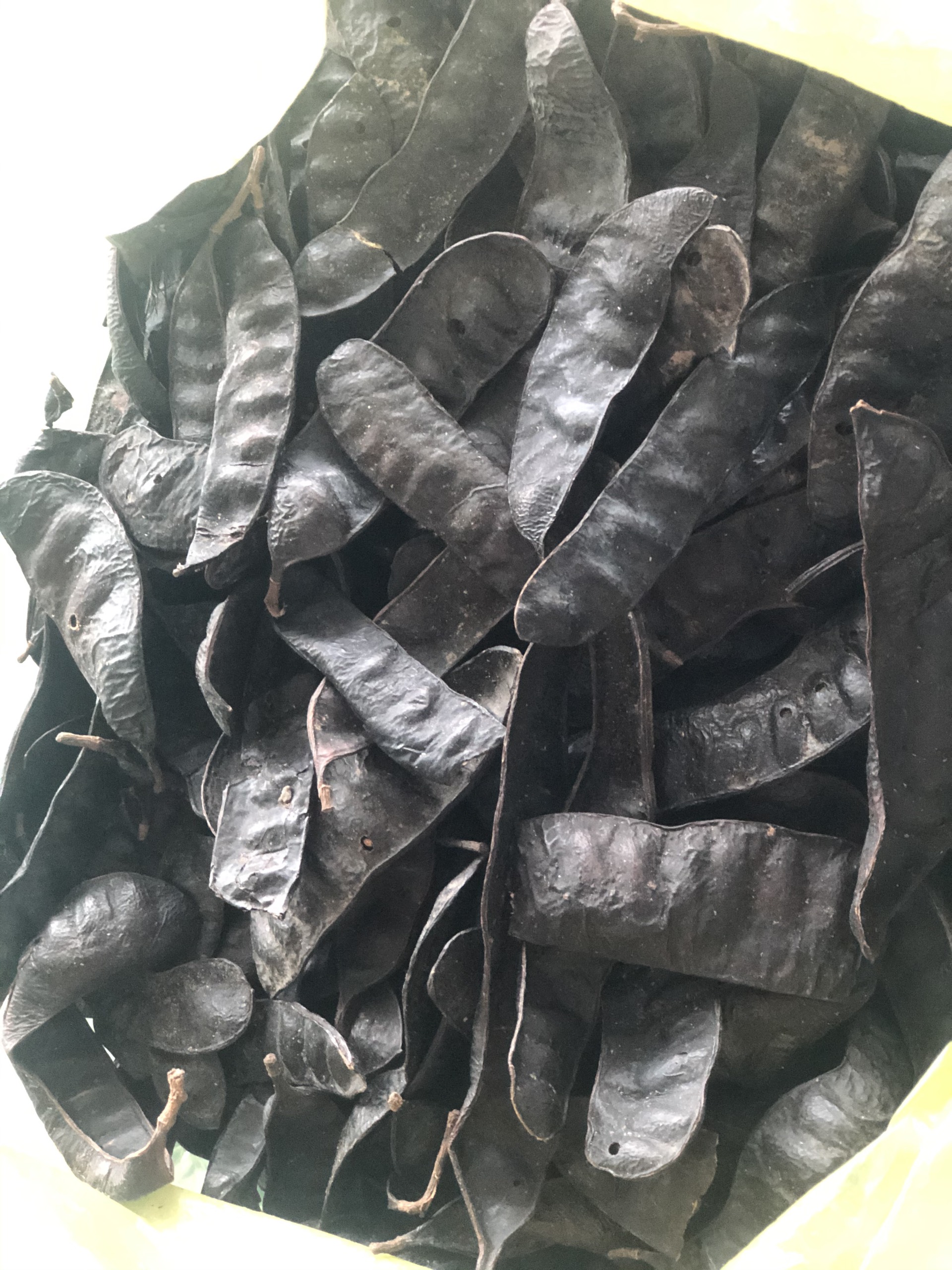 200g Bồ kết trái khô