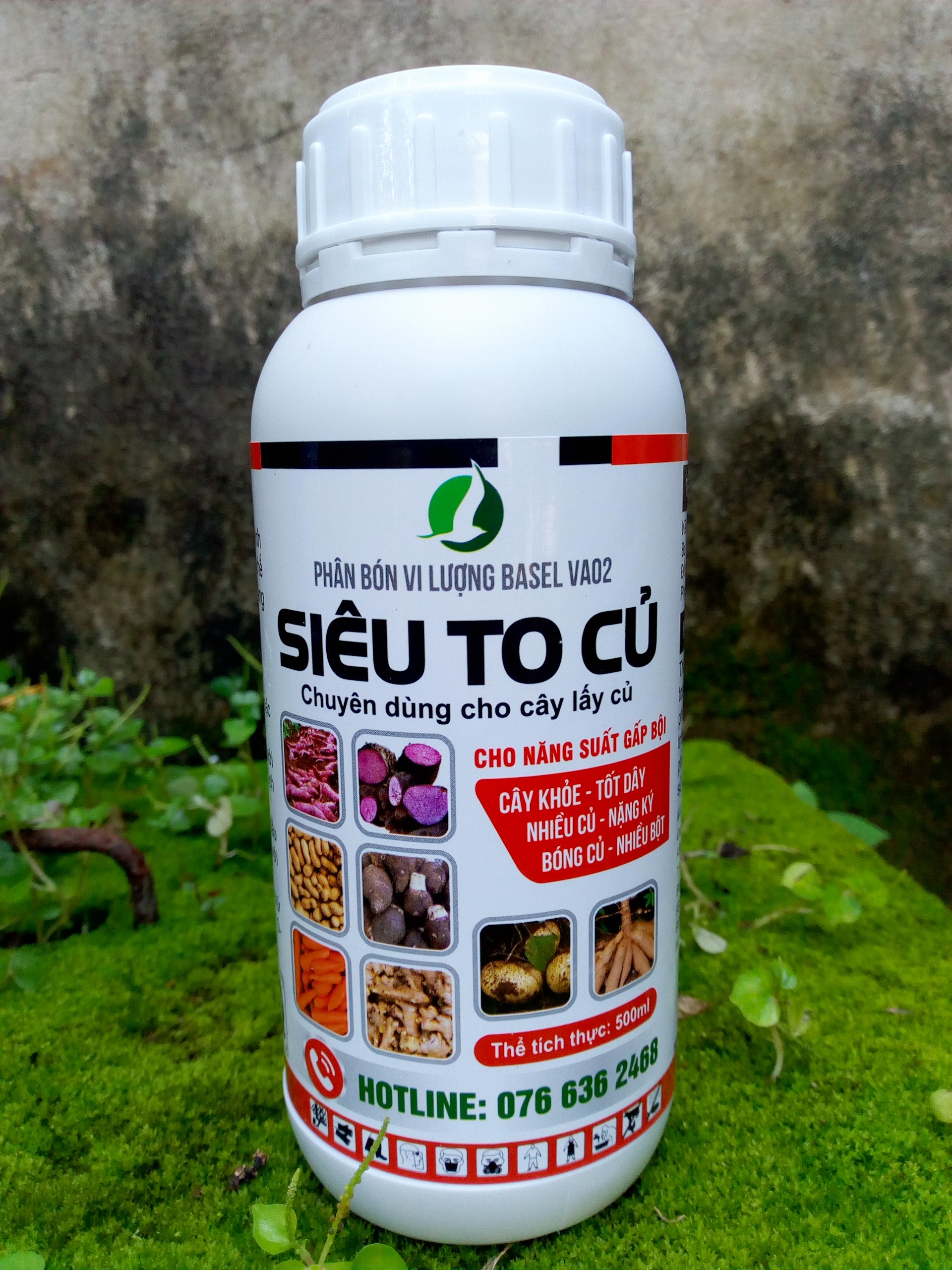 , siêu to củ chai 500ml, to củ, chắc củ,nặng ký, không thối củ