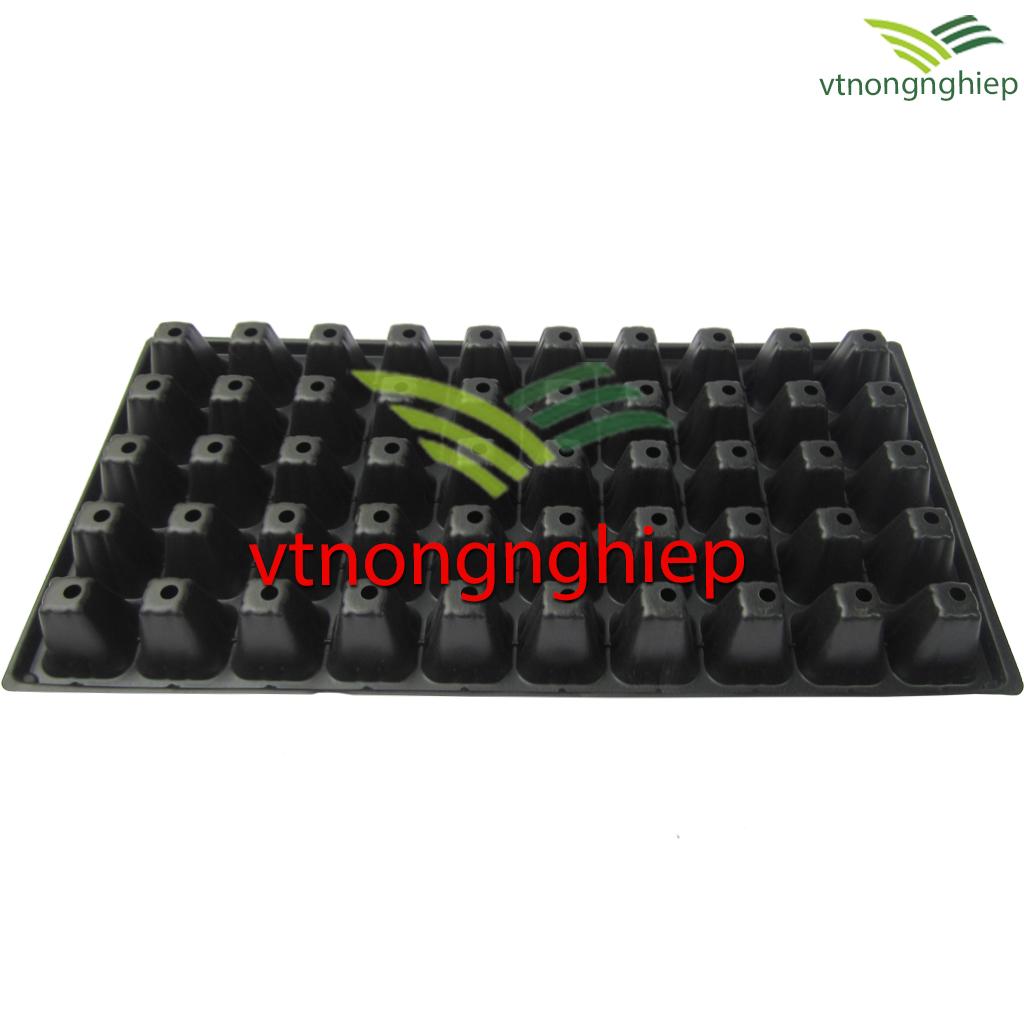 5 khay ươm hạt 50 lỗ