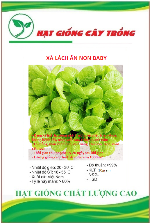Hạt giống xà lách baby ăn non ct96 - gói 10gram