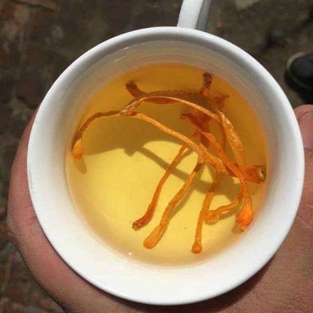 Đông trùng hạ thảo khô 100g