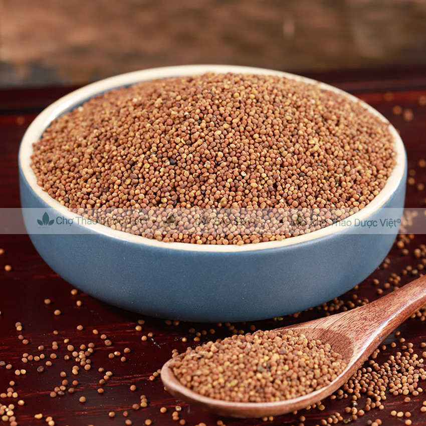 Bạch giới tử hữu cơ 100g ( Hạt cải trắng giảm ho, tiêu đàm) - Chợ Thảo Dược Việt