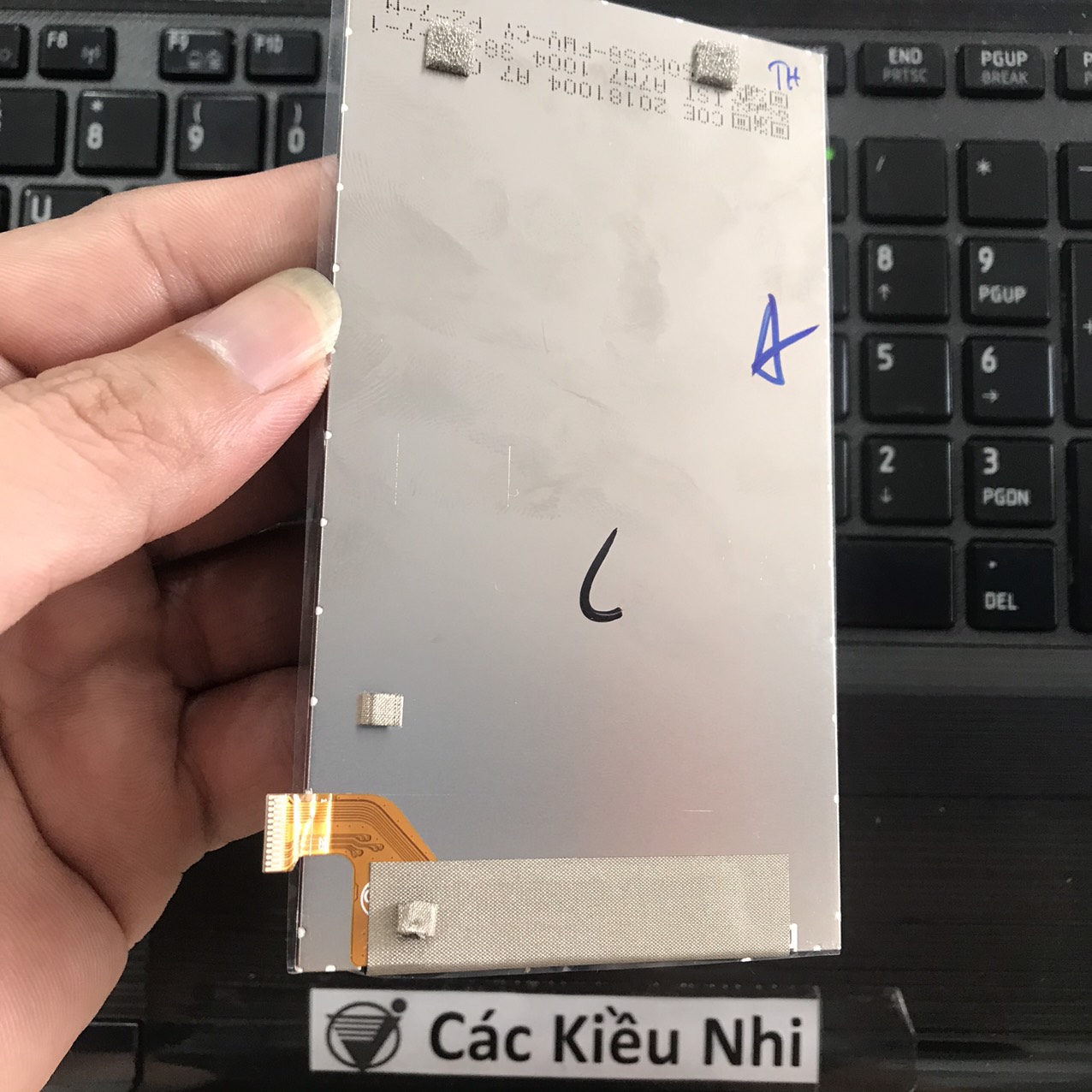 Màn hình	Itel	A33 | W5001	LCD rời