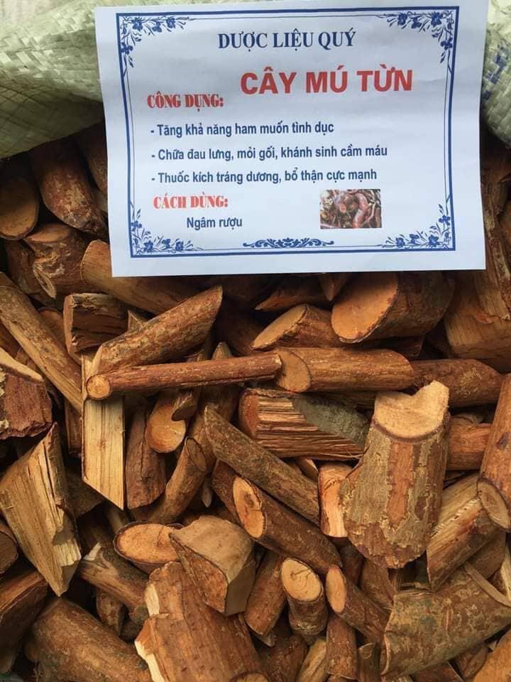 Cây Mú Từn - Tăng cường sinh lý ( Loại VIP 1kg)