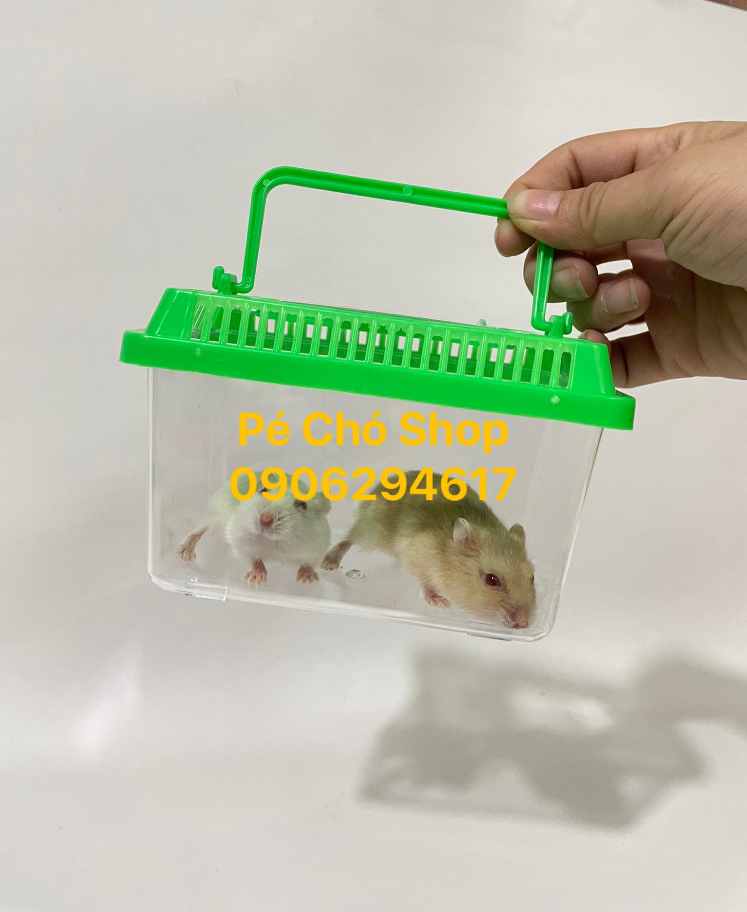 [HCM]Hộp Mika vận chuyển thú cưng nhỏ bò sát(size dài 13cm rộng 7cm cao8 cm)
