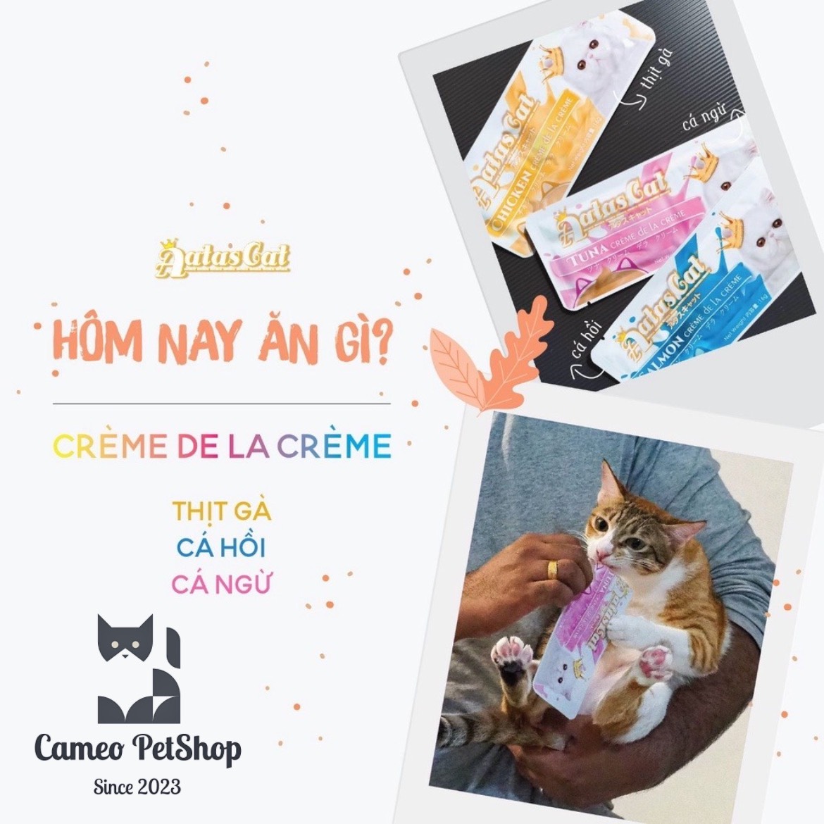 SÚP THƯỞNG AATAS CAO CẤP DÀNH CHO MÈO 16G CAMEO PETSHOP
