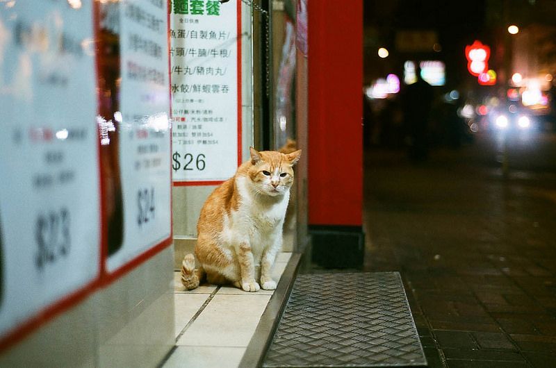 Film Fuji Superia Xtra 400
