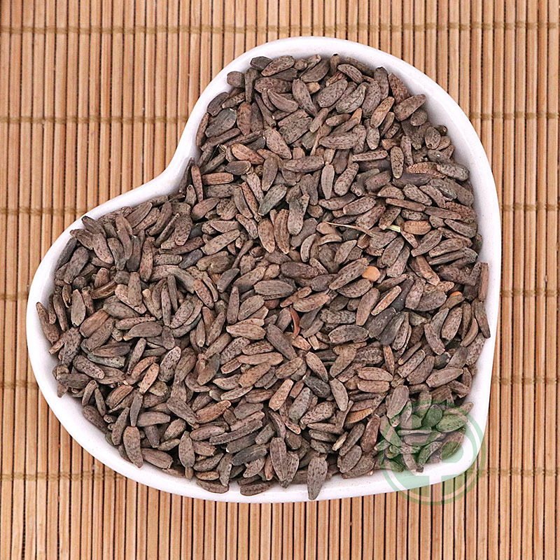 [HOT] Ngưu bàng tử khô 500g - Thảo Dược Tấn Phát