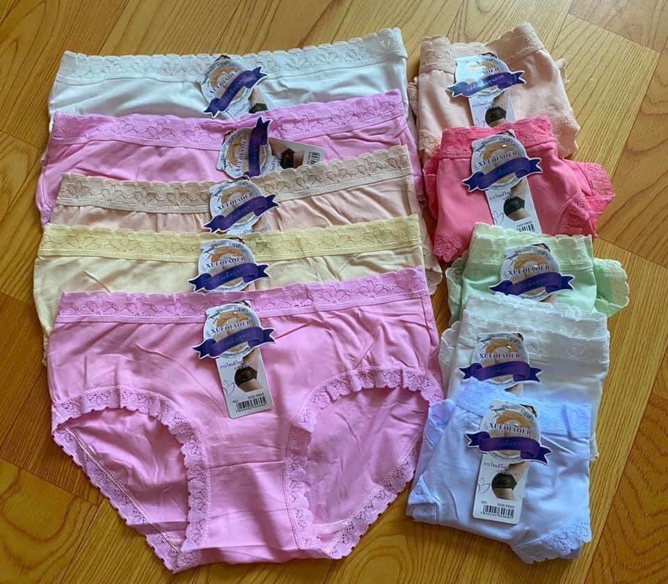 [HCM]combo 10 quần cotton Thái chíp nữ