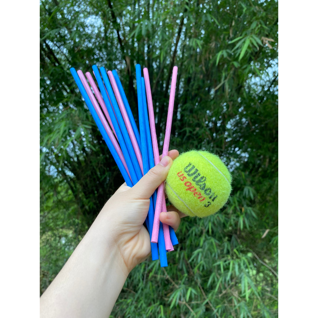 Bộ Chơi Chuyền Banh Đũa Tennis