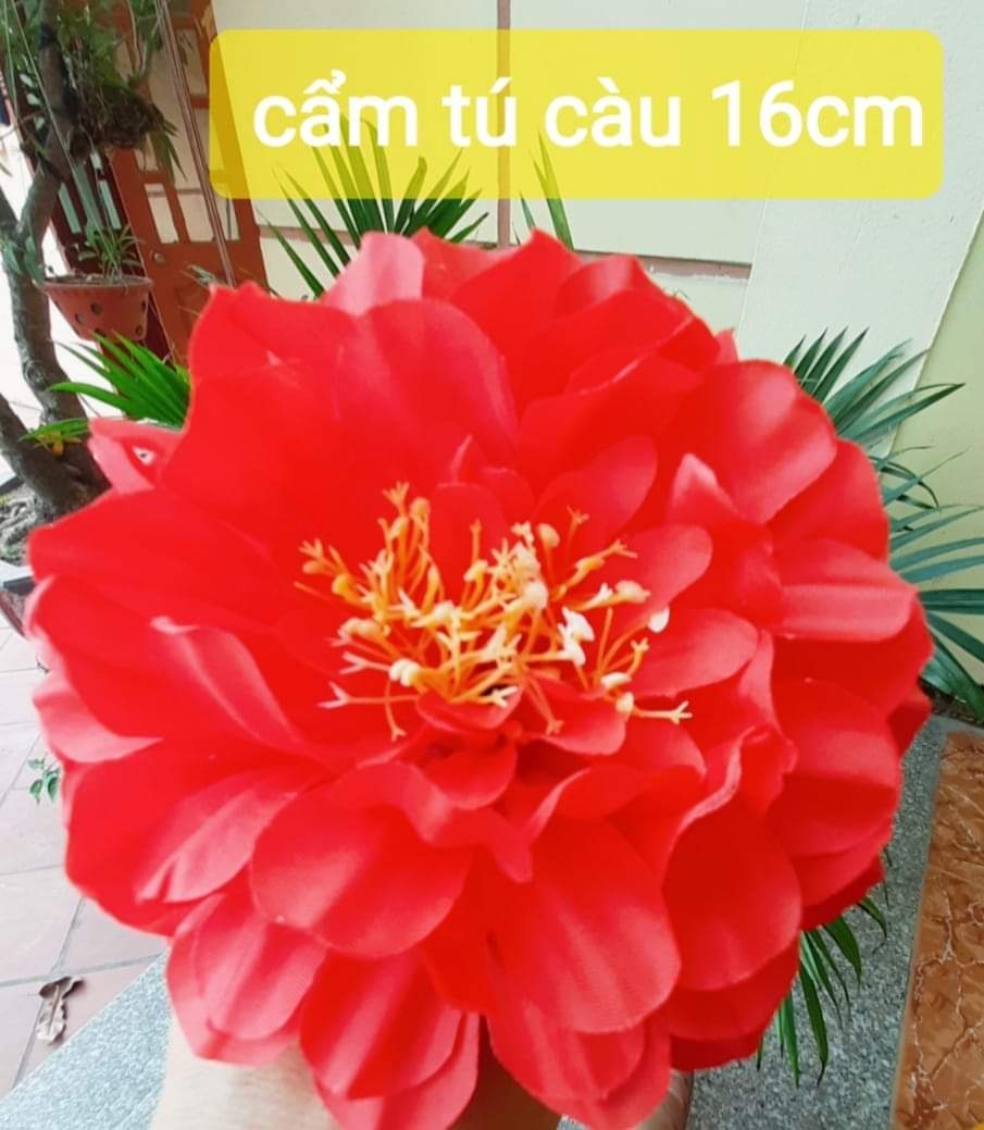 Hoa múa cẩm tú cầu bằng lụa có đính thun