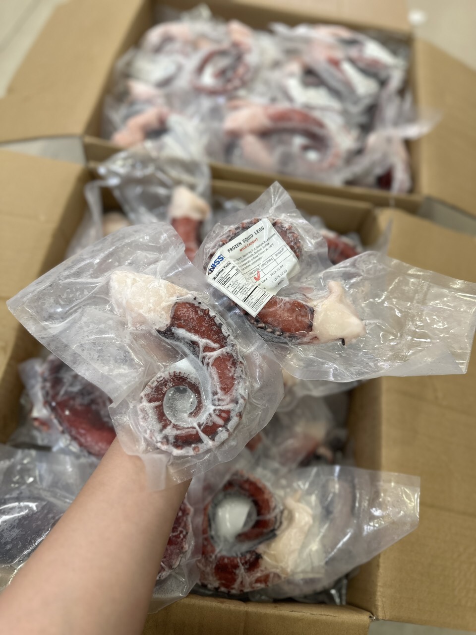 [GIAO NHANH 2H HCM] Giá Sỉ 1Kg Râu Bạch tuộc Nissi