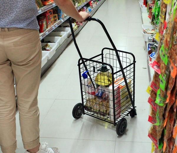 [HCM]Xe kéo đi chợ đa năng cỡ lớn - XKCL
