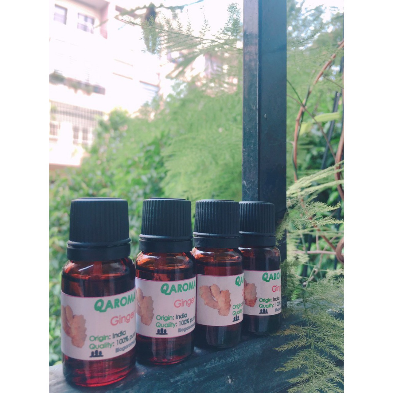 [HCM]Tinh dầu gừng Ấn Độ 10ml