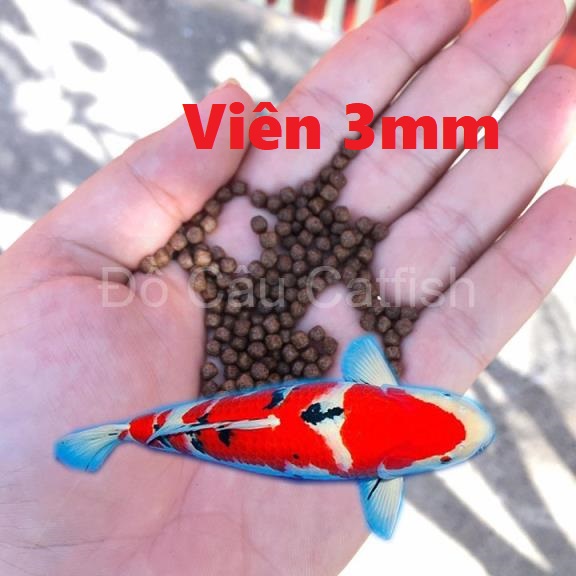 1Kg Thức Ăn Cá Cargill( Hạt 3mm-5mm) dùng cho cá chép,cá koi,cá cảnh.. Tăng Trọng,lên màu nhanh -Cám cá cargill