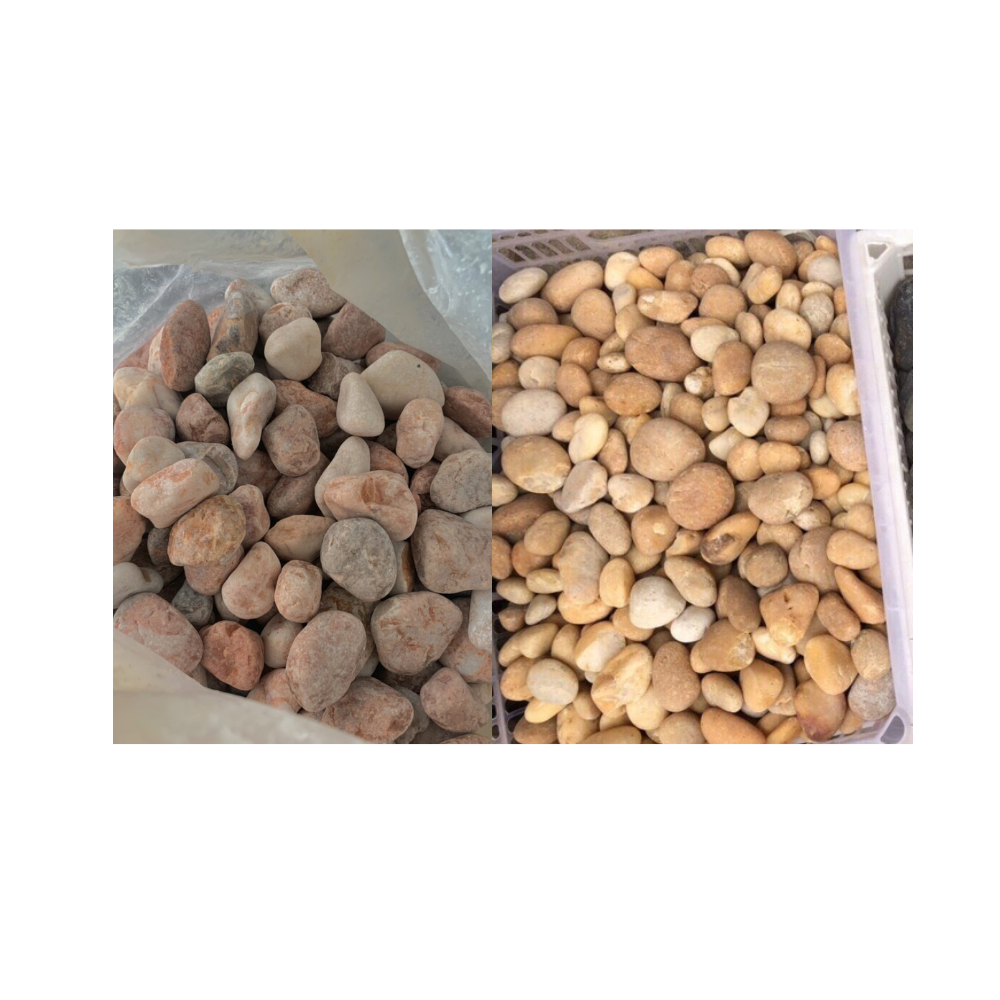 [Hoàn Tiền 10%] Sỏi cuội trang trí hồ cá 500g