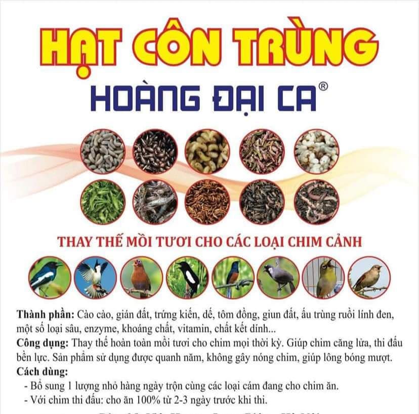 Hạt côn trùng siêu chất