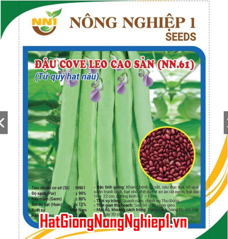 Hạt giống đỗ leo/ đậu cove leo 20gr