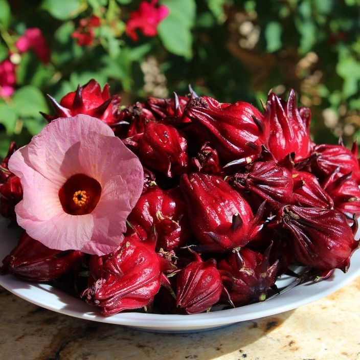 Trà Atiso sấy khô 200G -Thái Y MEDICINE