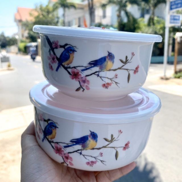 [HCM]Bộ thố sứ 2 cái nắp hút chân không