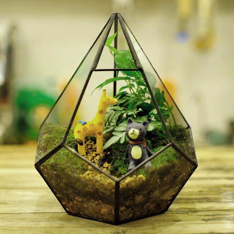 Bình thủy tinh tiểu cảnh terrarium có nắp 02