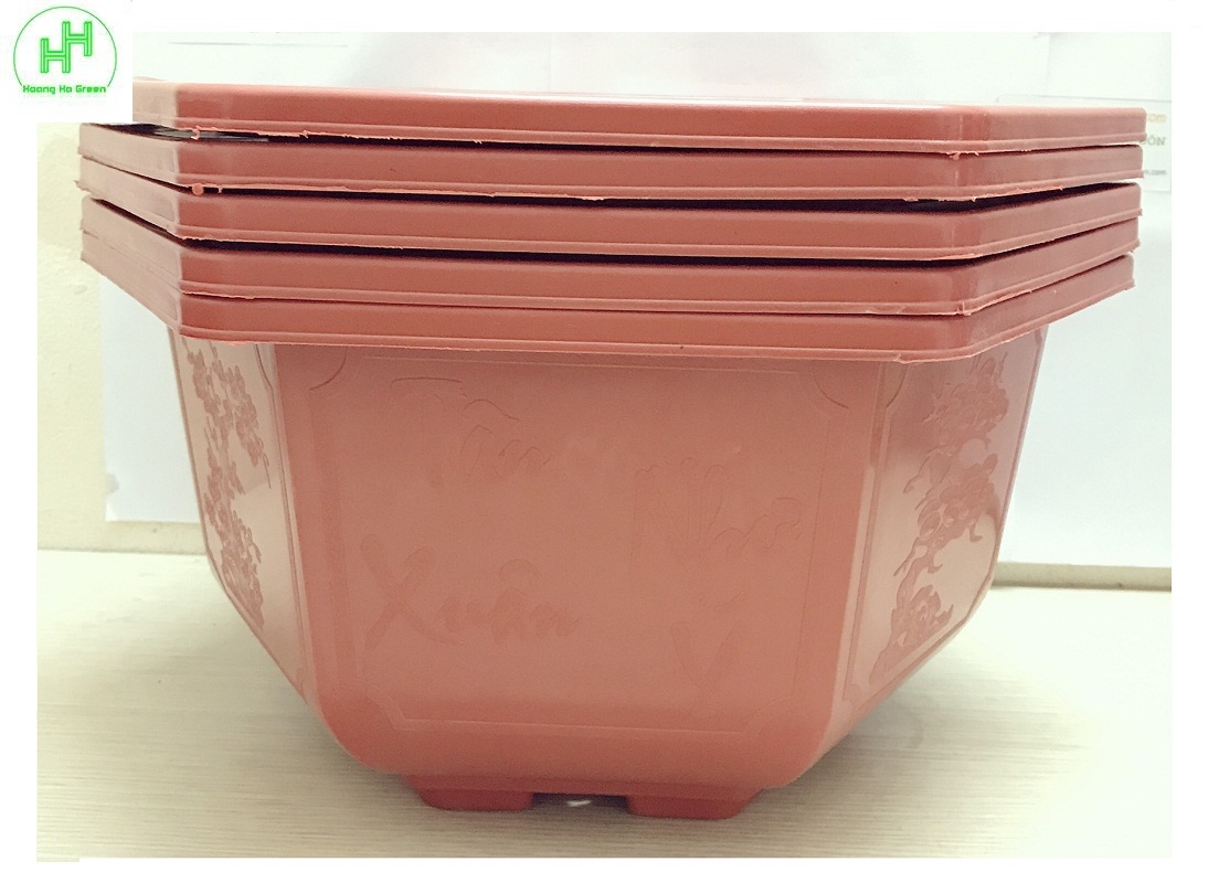 5 Chậu Nhựa Lục Giác Trồng Hoa, Cây Cảnh Bình Thuận Bonsai 350x210