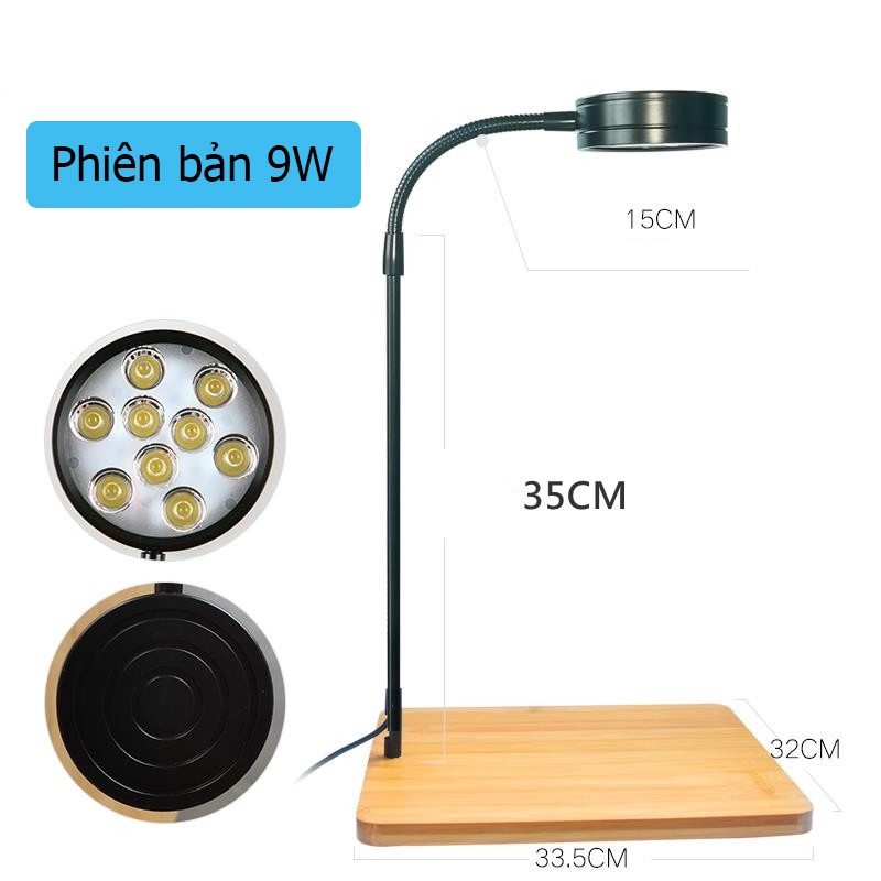 Đèn đế gỗ, đèn led rọi hồ cá, đèn đế gỗ cho bình terrarium